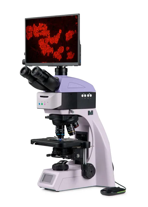 imagen Microscopio digital de fluorescencia MAGUS Lum D460L LCD,  2