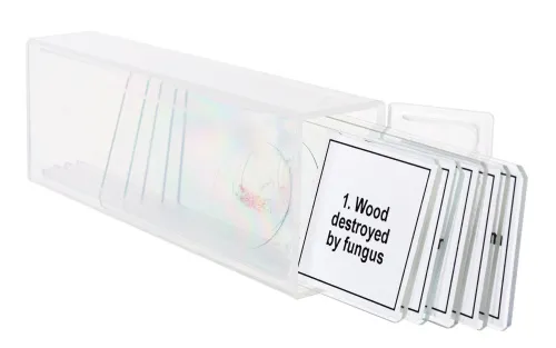 foto Set de preparaciones para microscopio Levenhuk Discovery Prof DPS 5. «Alteraciones»,  5