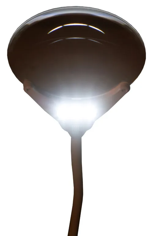 foto Lupa Levenhuk Zeno Lamp ZL7,  10