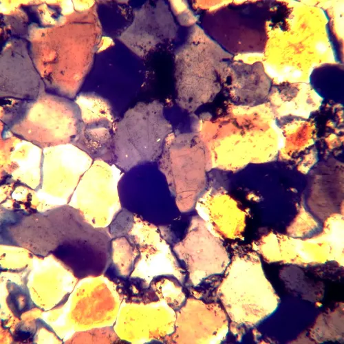 gráfico Microscopio polarizador MAGUS Pol 890,  26