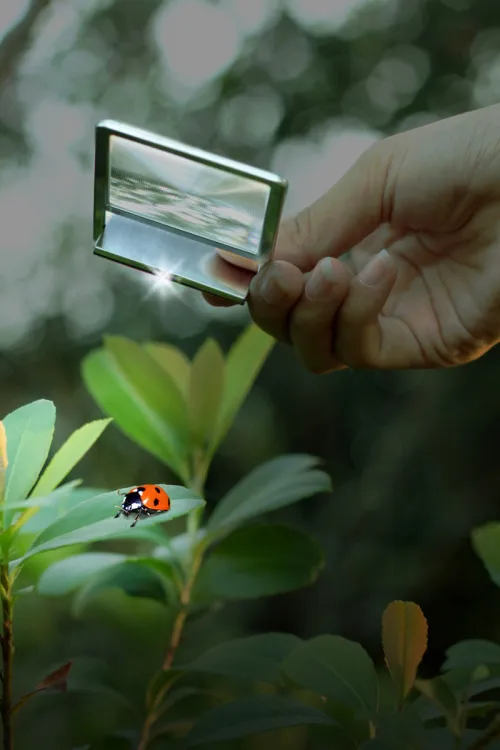 fotografía Lente de Fresnel Levenhuk Zeno 90, 2,5x, 48/45 mm, Metal,  10