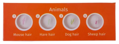 imagen Set de preparaciones Levenhuk LabZZ C12: criaturas,  2