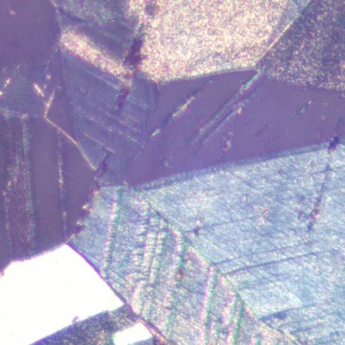 fotografía Microscopio metalúrgico digital MAGUS Metal D600 BD LCD,  27