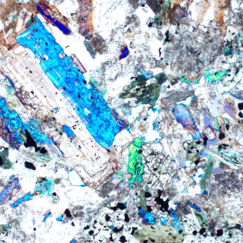 imagen Microscopio polarizador digital MAGUS Pol D850,  23