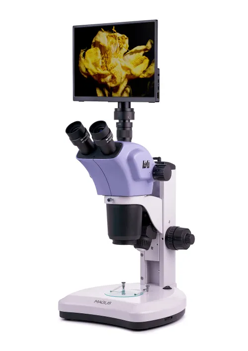 gráfico Estereomicroscopio digital MAGUS Stereo D9T LCD,  3