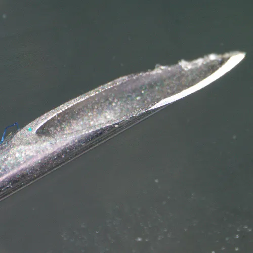 fotografía Estereomicroscopio digital MAGUS Stereo D9T,  26