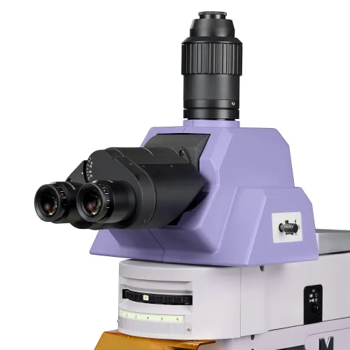 foto Microscopio de fluorescencia MAGUS Lum 490L,  9