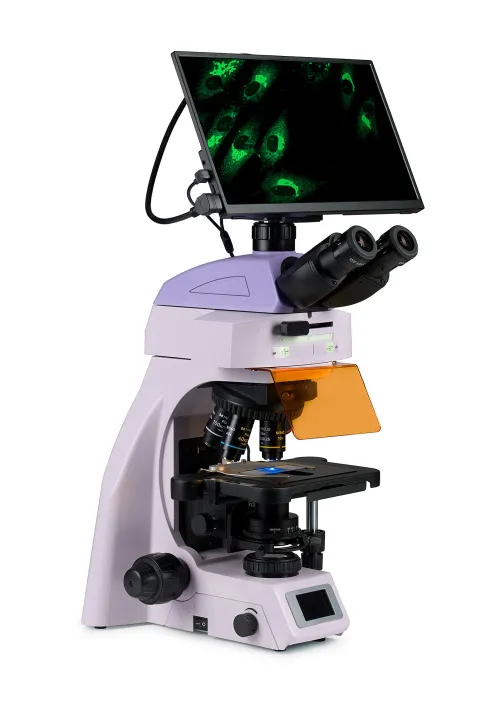 gráfico Microscopio digital de fluorescencia MAGUS Lum D450L LCD,  3