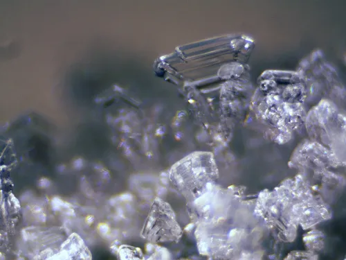 foto Estereomicroscopio Bresser Erudit ICD,  12