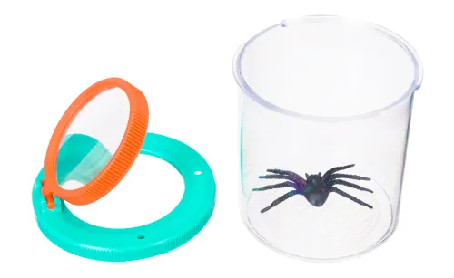 foto Frasco de observación de insectos Levenhuk Discovery Basics CN5,  2