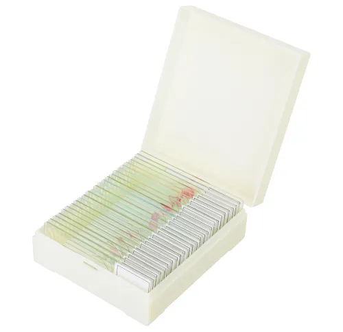 gráfico Set de preparaciones para microscopio Levenhuk Discovery Prof DPS 25. «Biología, Aves, etc.»,  7