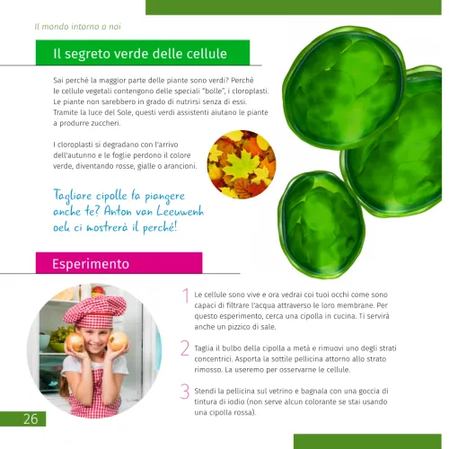 imagen Microscopio Levenhuk Discovery Pico,  7