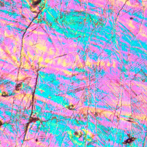 imagen Microscopio metalúrgico invertido MAGUS Metal V700 DIC,  16