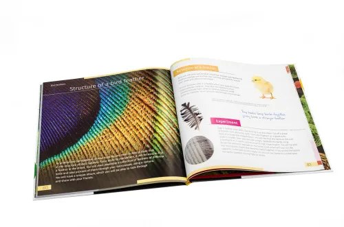 gráfico Invisible World (el mundo invisible). El libro educativo. Tapa dura,  10