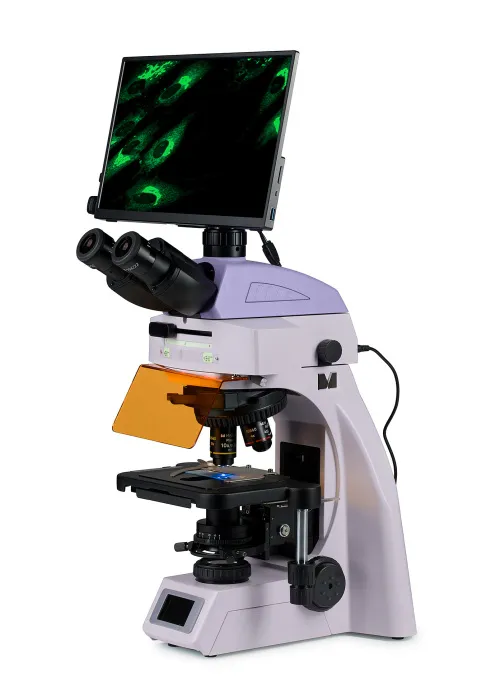 gráfico Microscopio digital de fluorescencia MAGUS Lum D450L LCD,  2