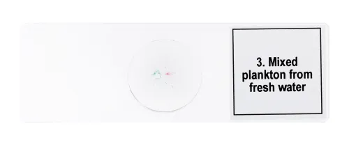 fotografía Set de preparaciones para microscopio Levenhuk Discovery Prof DPS 5. «Vida en una gota de agua»,  7