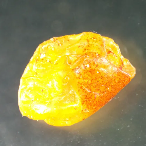 gráfico Estereomicroscopio MAGUS Stereo A8,  15