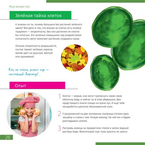 foto Microscopio digital Levenhuk Discovery Atto Polar con libro,  6