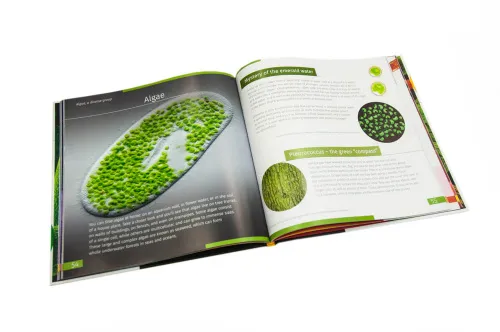 gráfico Invisible World (el mundo invisible). El libro educativo. Tapa dura,  9