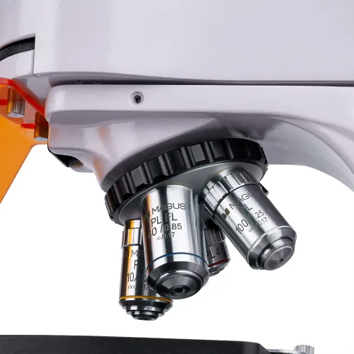 gráfico Microscopio digital de fluorescencia MAGUS Lum D400,  13