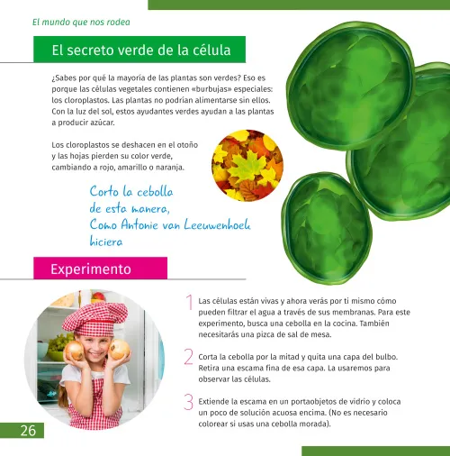 gráfico El mundo invisible. Libro educativo,  3