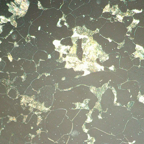 foto Microscopio metalúrgico digital MAGUS Metal D630 LCD,  20