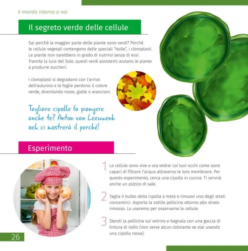 fotografía Microscopio Levenhuk Discovery Micro con libro,  7