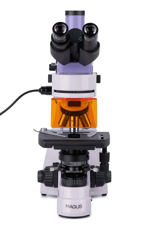 fotografía Microscopio de fluorescencia MAGUS Lum 400,  17
