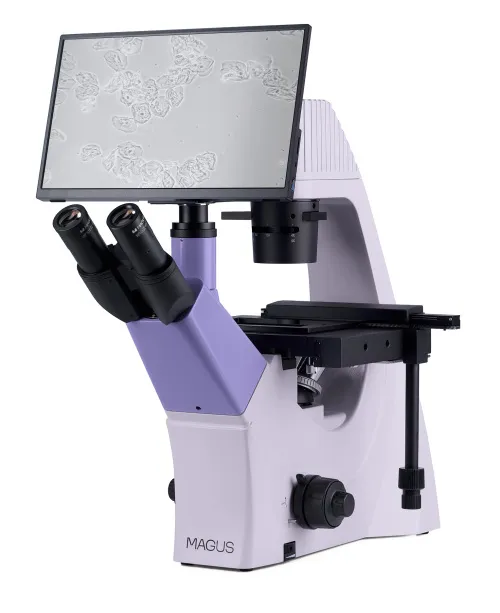 gráfico Microscopio biológico invertido digital MAGUS Bio VD300 LCD,  3
