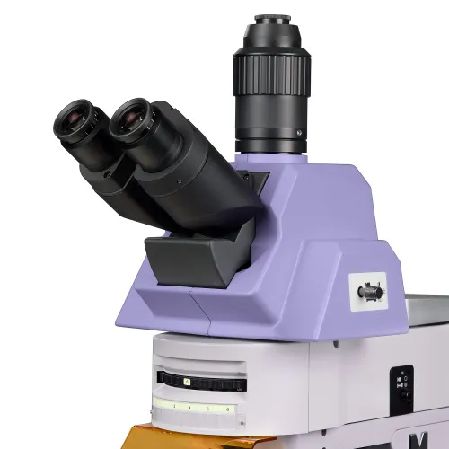 foto Microscopio de fluorescencia MAGUS Lum 490L,  10