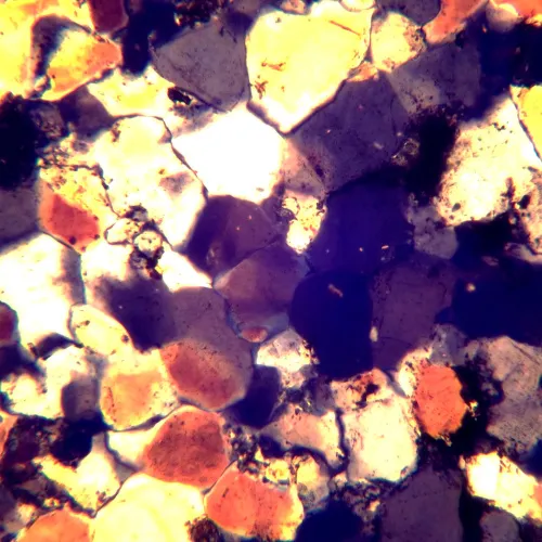 imagen Microscopio polarizador digital MAGUS Pol D850,  26