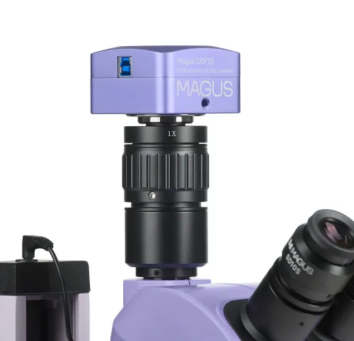 imagen Estereomicroscopio digital MAGUS Stereo D7T PLUS,  4