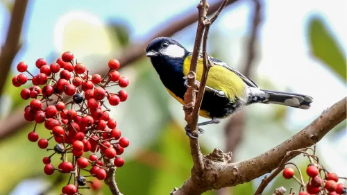 foto Fototelescopio Levenhuk Kelvin MAK127 AZ GOTO Wi-Fi,  13