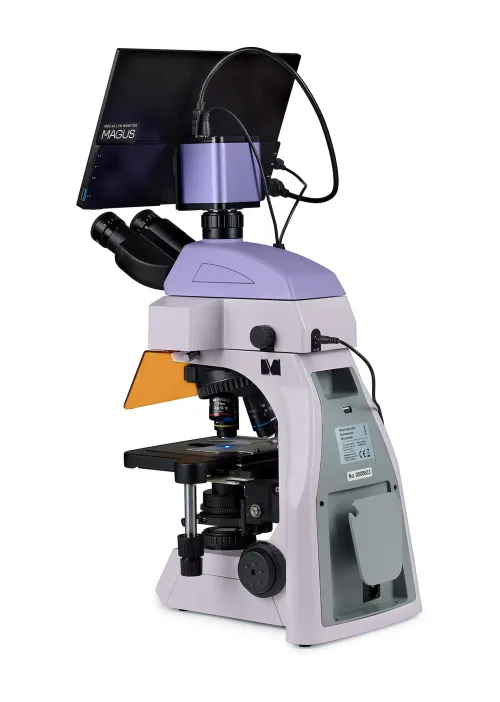 gráfico Microscopio digital de fluorescencia MAGUS Lum D450L LCD,  5