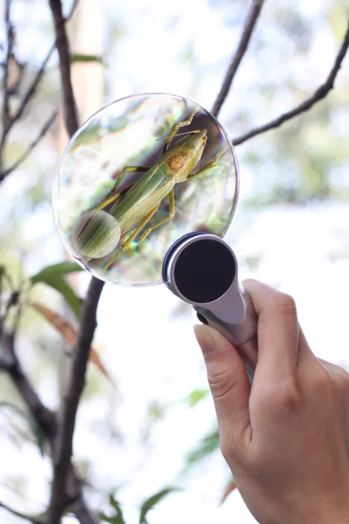 fotografía Lupa Levenhuk Zeno 400 LED, 2/4x, 88/21 mm, Metal,  9