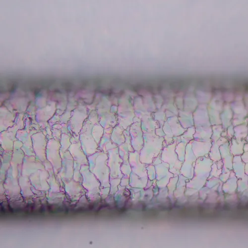 foto Microscopio polarizador digital MAGUS Pol D800 LCD,  25