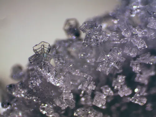 foto Estereomicroscopio Bresser Erudit ICD,  11