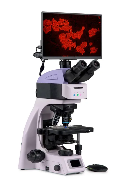 imagen Microscopio digital de fluorescencia MAGUS Lum D460L LCD,  3
