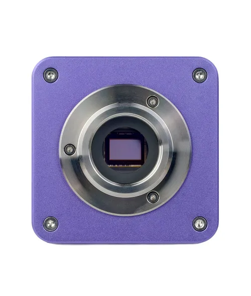 gráfico Microscopio digital de fluorescencia MAGUS Lum D400L,  20