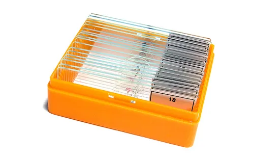 gráfico Set de preparaciones Levenhuk N18 NG,  5