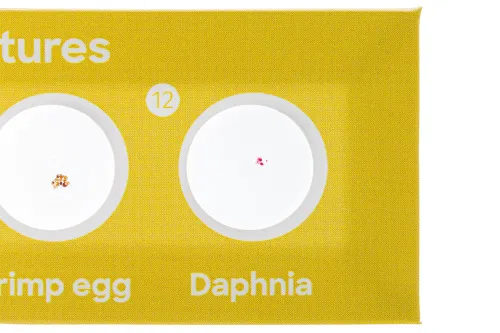 imagen Set de 12 preparaciones Levenhuk Discovery Fauna,  7