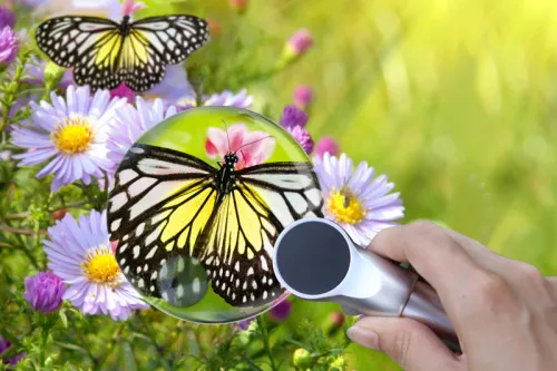 fotografía Lupa Levenhuk Zeno 400 LED, 2/4x, 88/21 mm, Metal,  7