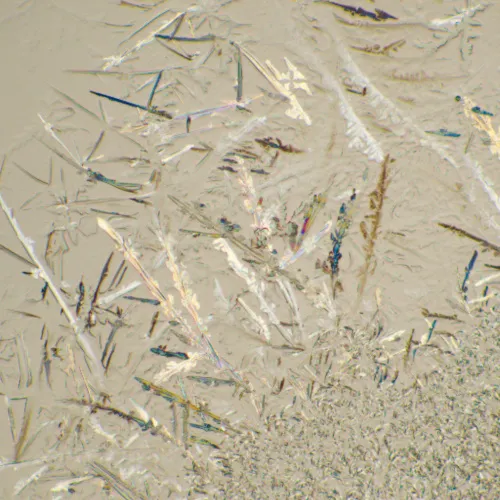 fotografía Microscopio biológico MAGUS Bio D230T LCD,  29