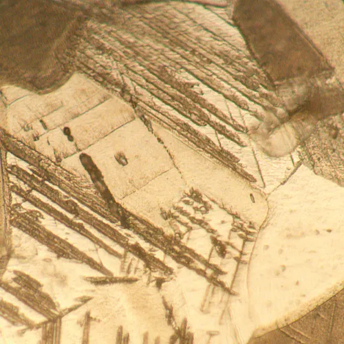 imagen Microscopio metalúrgico invertido MAGUS Metal V700 BD,  16