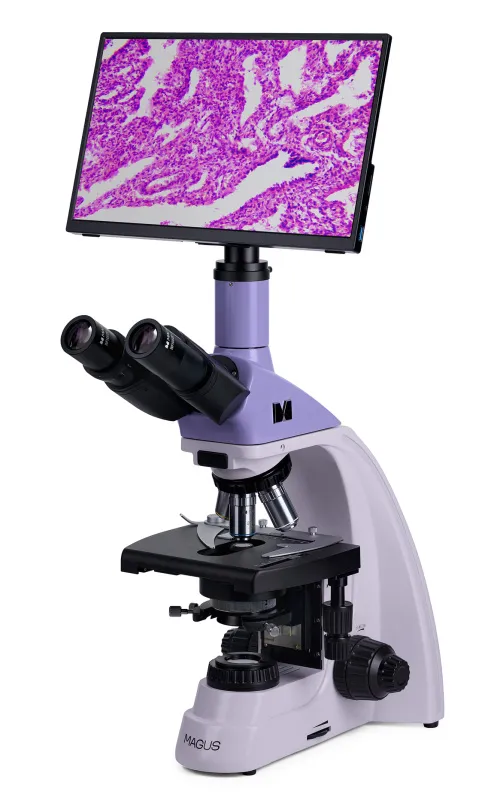 gráfico Microscopio biológico digital MAGUS Bio D250T LCD,  3