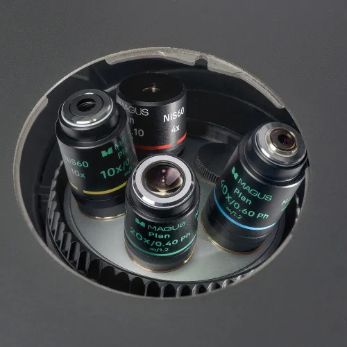 imagen Microscopio biológico invertido digital MAGUS Bio VD360,  18