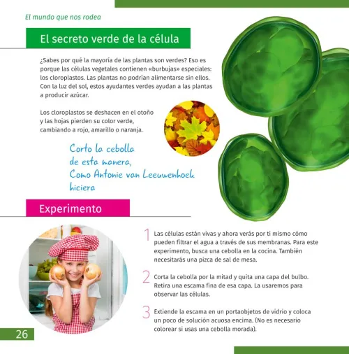gráfico Microscopio Levenhuk Discovery Centi 02 con libro,  6