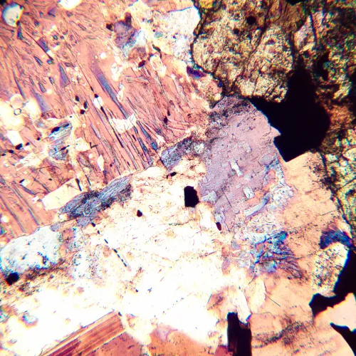 foto Microscopio polarizador digital MAGUS Pol D800 LCD,  22