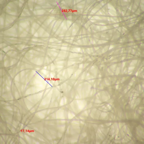 fotografía Estereomicroscopio MAGUS Stereo 9T,  20