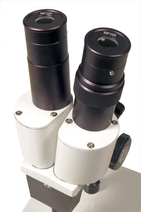 foto Microscopio Levenhuk 2ST,  4